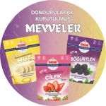 Dondurularak Kurutulmuş Meyveler