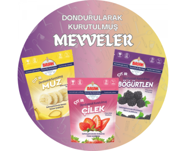 Dondurularak Kurutulmuş Meyveler